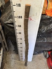 Blackthorn  Huge SHANK WALKING