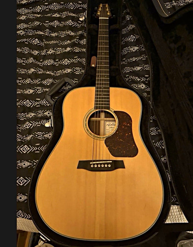 Walde string acoustic guitar - walde,