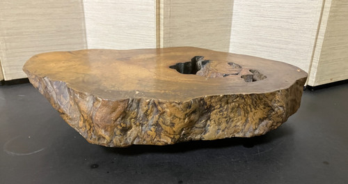 Vintage japanese bonsai - japanese,