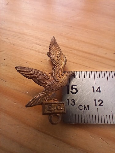 Vtg eagle comic - eagle, badge