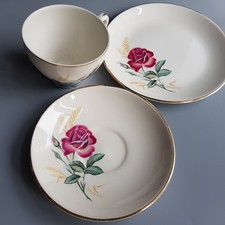 Swinnertons tea cup saucer