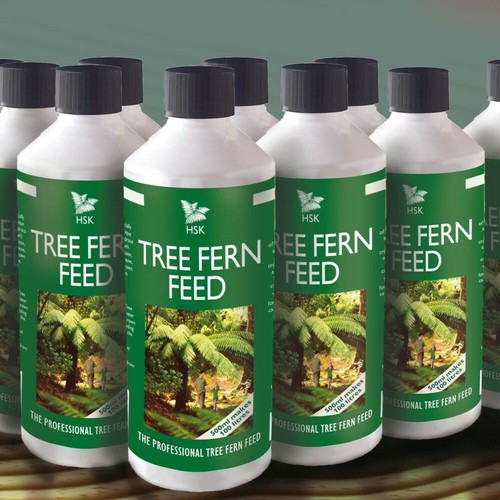 Tree fern feed - tree,
