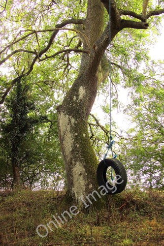 Photo 6x4 tyre swing the - swing,