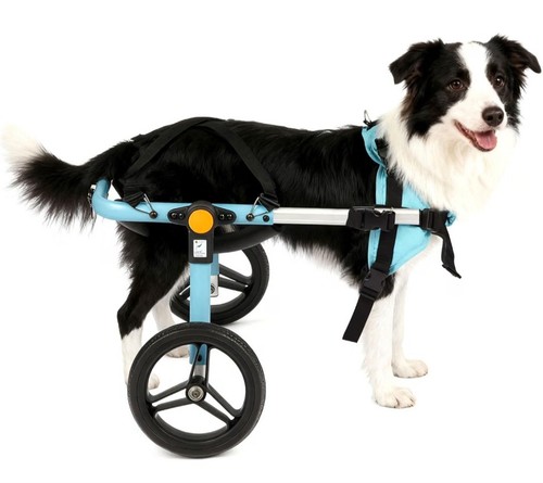 Tailwaggers dog wheelchair for - tailwaggers,