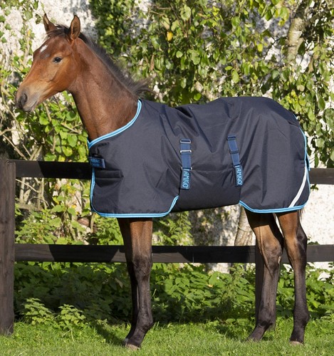 Bnwt horseware amigo - bnwt,