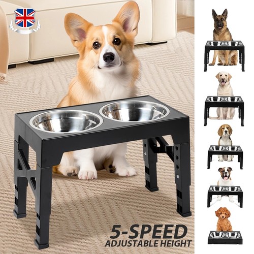 Large dog food feeding - dog,