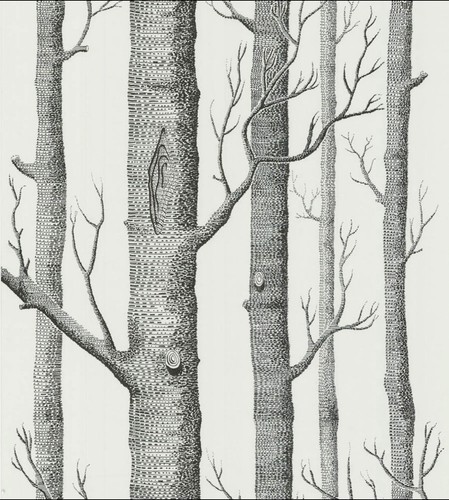 Cole son woods wallpaper - cole,