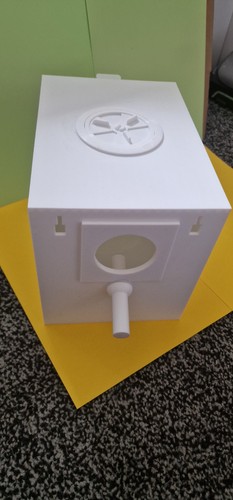 Our brand new standard - standard, budgie