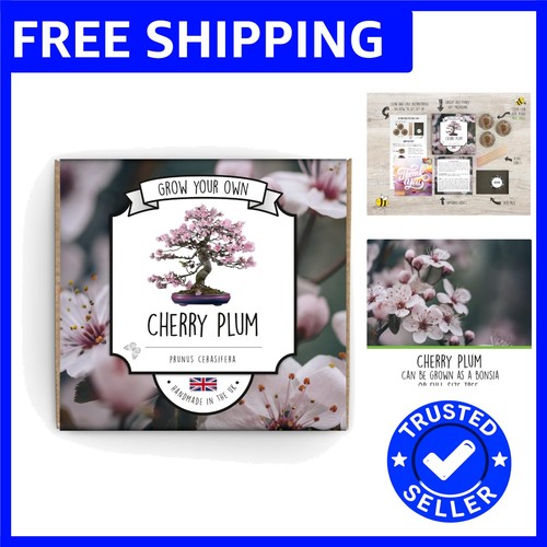Diy cherry plum - kit,