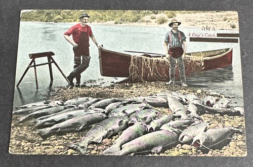 Postcard days catch - days, catch"