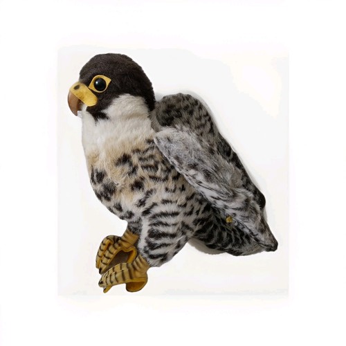 Steiff studio faky falcon - studio,