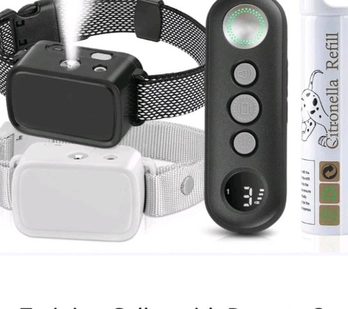 Citronella dog training - dog, collar