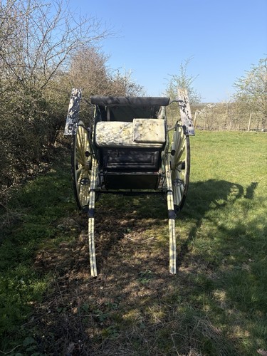 Horse cart trap - horse, carriage