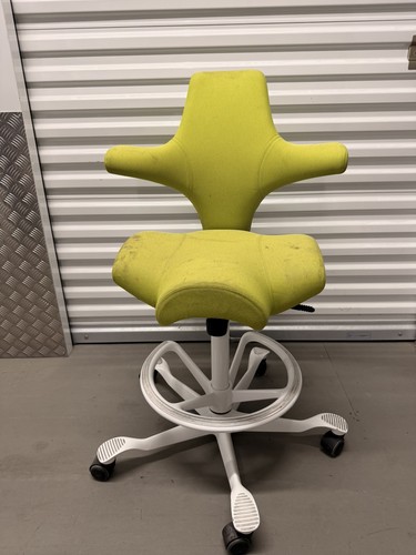 Hag capisco ergonomic - capisco,