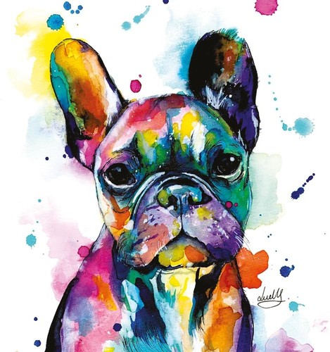 French bulldog greeting card - french,
