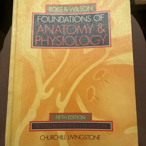 Foundations anatomy and - of,
