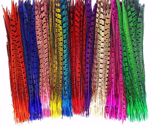 Colour pheasant tail - pheasant,