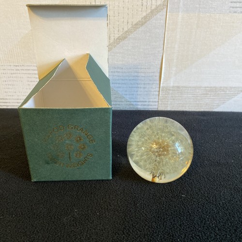 Dandelion seed puff - dandelion,