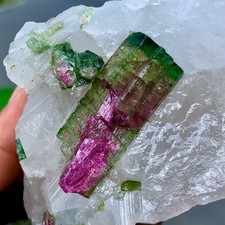 112GRare!Natural Two tone watermelon tourmaline crystal cluster mineral specimen