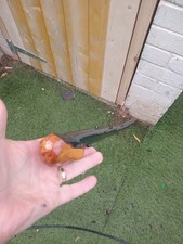 IRISH BLACKTHORN STICK  38.5