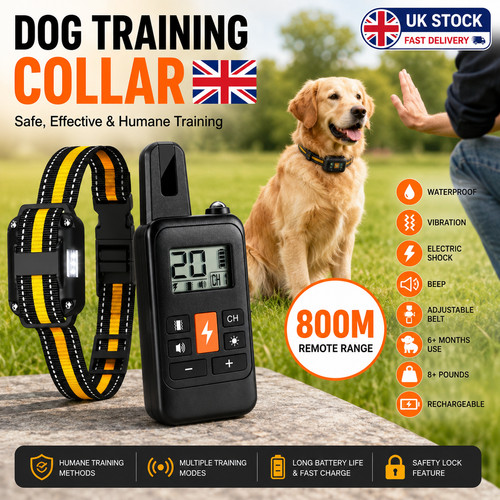 Dog training collar with - dog,
