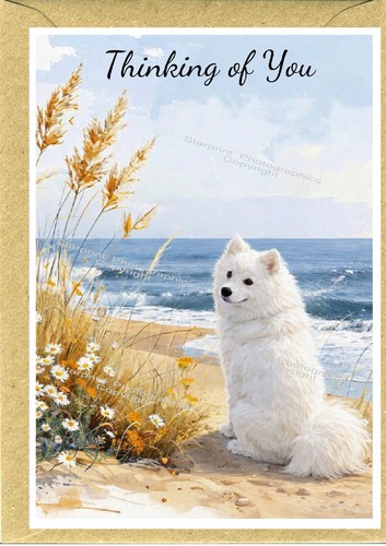 Samoyed dog thinking you - thinking, of