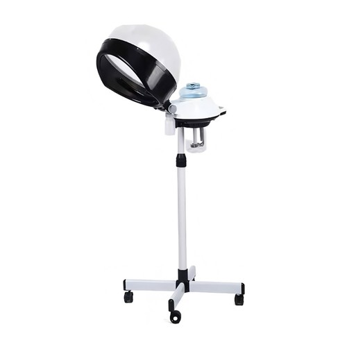 Professional hair steamer and - hair,
