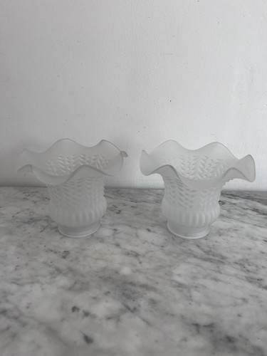 Frosted glass ruffled tulip - 2x,