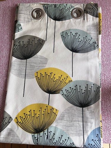 Sanderson dandelion clocks - dandelion,