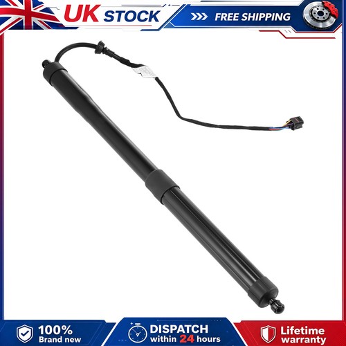 Electric tailgate gas - electric,