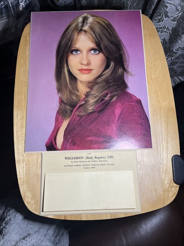 Vintage 1976 calendar brown - calendar, of