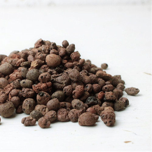 Leca terrarium drainage - leca,