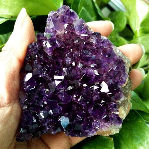 100 150g large natural - 100-150g,