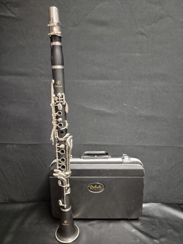Elkhart clarinet vintage - elkhart,