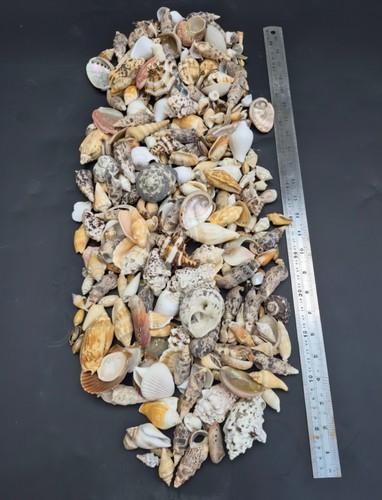 Approx 2kg mixed size grades - size,