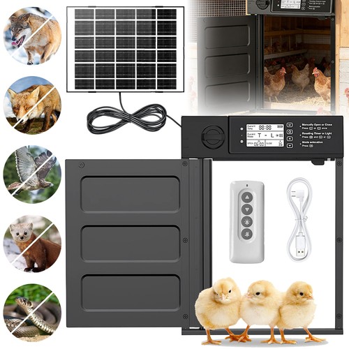 Chicken coop door - coop,