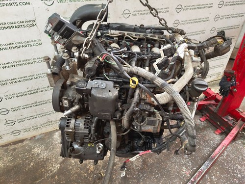 Land rover freelander - land, 2