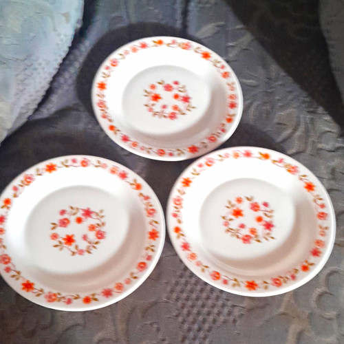 Arcopal plates set 3 - plates,