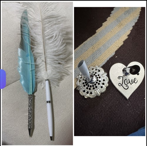 Feather quill wedding guest - feather,