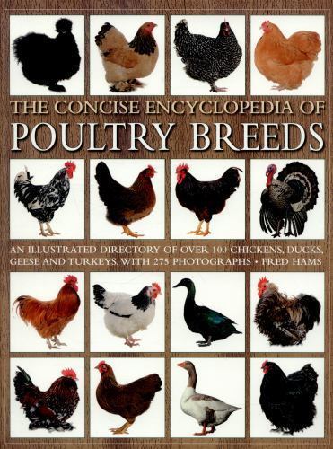 Concise encyclopedia - concise,