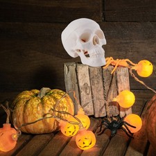 Skull Ornament Halloween Simulation Horror Skeleton Head Human Prop