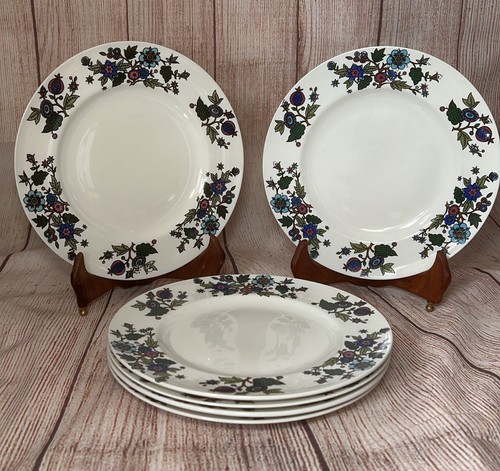 Midwinter alpine blue plates - alpine,