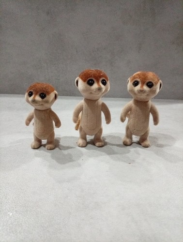 Sylvanite families meerkat - sylvanite,