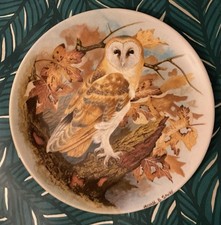 Gorgeous Coalport Fine Bone China Barn Owl LE Plate By Michael B Sawdy🦉