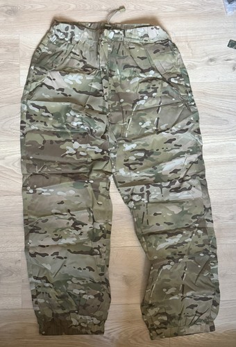 Reptilia chameleon multicam - chameleon,