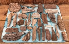 Unique Driftwood Pieces