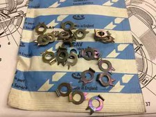 AUSTIN CHAMP, FERRET - KEY