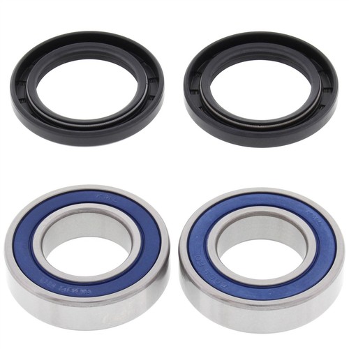 All balls rear wheel bearings - all,