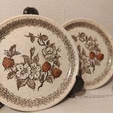 2X Barratts of staffordshire Wild Strawberry Retro 17cm Diameter Plates  c1970