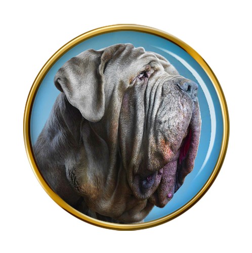 Mastino napoletano neapolitan - napoletano, (neapolitan